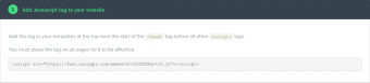 Add JS Snippet